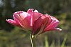 _MG_9674_DxO.jpg