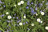 _MG_9679_DxO.jpg