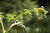 _MG_9681_DxO.jpg