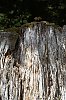 _MG_9686_DxO.jpg