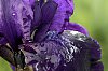 _MG_9720_DxO.jpg