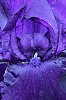 _MG_9727_DxO.jpg
