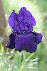 _MG_9730_DxO.jpg
