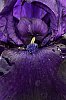 _MG_9733_DxO.jpg