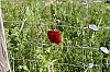 _MG_9761_DxO.jpg