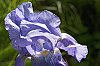 _MG_9776_DxO.jpg