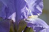 _MG_9779_DxO.jpg