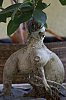 _MG_9787_DxO.jpg