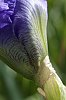 _MG_9788_DxO.jpg