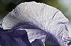 _MG_9790_DxO.jpg