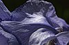 _MG_9798_1_DxO.jpg