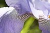 _MG_9799_DxO.jpg