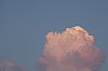_MG_9801_DxO.jpg
