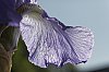 _MG_9804_DxO.jpg