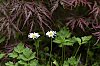 _MG_9806_DxO.jpg