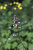 _MG_9817_DxO.jpg