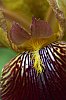 _MG_9834_DxO.jpg