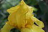 _MG_9841_DxO.jpg