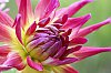 _MG_9844_DxO.jpg