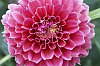 _MG_9845_DxO.jpg