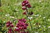 _MG_9855_DxO.jpg