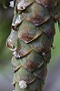 _MG_9860_DxO.jpg