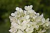 _MG_9861_DxO.jpg