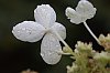 _MG_9869_DxO.jpg