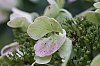 _MG_9875_DxO~0.jpg