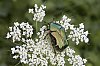 _MG_9880_DxO.jpg