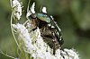 _MG_9885_DxO.jpg