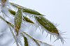 _MG_9902.jpg