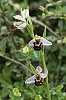 _MG_9903_DxO.jpg