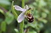 _MG_9906_DxO.jpg
