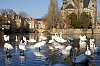 _MG_9971.jpg