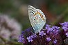 _MG_9980_DxO.jpg