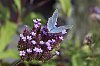 _MG_9983_DxO.jpg