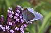 _MG_9988_DxO.jpg