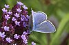 _MG_9989_1_DxO.jpg