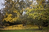 automnejpg.jpg