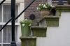 beguinage2~0.jpg