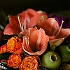 bouquet~0.jpg