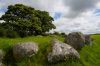carrowmore1.jpg