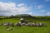 carrowmore2.jpg