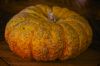 citrouille28129.jpg