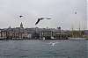 istambul_1.jpg