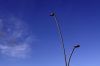 lampadaire.JPG