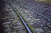 rail_-1-.jpg