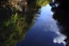 refletIMG_2775.JPG