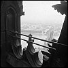1959_8.jpg